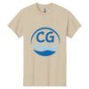 Heavy Cotton 100% Cotton T Shirt Thumbnail
